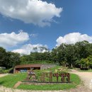 금대에코힐링캠핑장 이미지