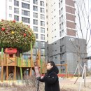 초등학생 어린이 킥보드 켈리앤스테판 두발킥보드 접이식 굿