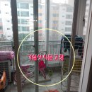 팔도샷시 이미지