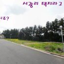 서광리-6 이미지