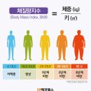 서울안평초등학교 이미지