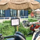 은행나무목장 | 카페 소슬재 인천대공원 신상 카페 800년 은행나무 뷰 포토존 내돈내산 후기