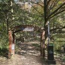 장성-08 | 장성 백양사 단풍 여행기, 가을의 절경