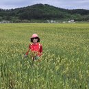 동진강석천휴게소
