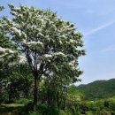 장미상가 이미지