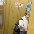 대동기획 | [석준위 후기] 석탑대동제 준비 위원회 끝!