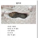 디카시로 일상을 빚다 5)_아임코리안 게재 2026.08.01. 이미지