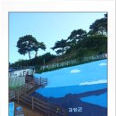 장군의집 민박 이미지