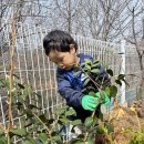 [초록풀잎-4.3] 예쁘게 피어라~🌱 이미지