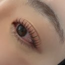 누누슴 | 내돈내산 7년째 애정하는 누누슴, 부산 속눈썹펌, 시청역 속눈썹펌 솔직후기