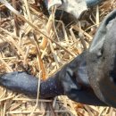 현씨농장 이미지