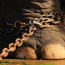 부산마케팅고등학교 이미지