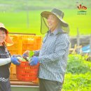 덕현농장 이미지