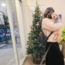 코스트코 앞 | 매머드익스프레스 광명역 코스트코앞점 솔직 방문 후기