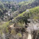 양평수목 이미지