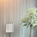 에르타포레(erta foret)