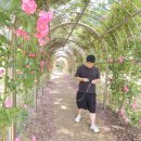 사선대마트 이미지