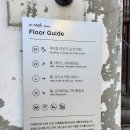 앞산순환로 | 대구 벚꽃 카페 앞산 아눅 포토존 주차 웨이팅 후기