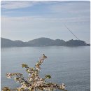 죽청농장 Daum카페