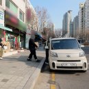 펫 이발소 Daum카페