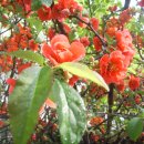 한우리교회 이미지