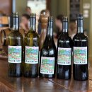 헌터밸리 리조트 앤 팜(Hunter Valley Resort &amp; Farm)1박 2일 후기