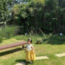 노리앤조이 | [쏘잉노리한복] 조이앤조이한복/착용후기/예쁜후기사진/아기한복/추석빔