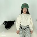 한스미