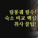 B&B클럽 | 숙소 결정 가이드 | 리버사이드 브리지뷰 Divine B&amp;B 솔직 비교 | 중심가 휴식 취사 편의시설별 완벽...