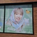 여미오븐 | 백수공주 살려