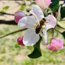 금계농장 이미지