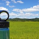 평화누리자전거길 이미지