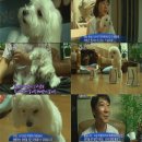 로또농장 이미지