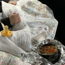 8개월 아기랑, 처음 제주