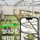 우림농장 | [공지] 김해이색체험 열대우림체험장 파충류카페