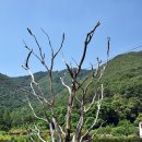 꽃새미마을(방동마을) 이미지