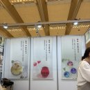 제22회 국제차문화대전 참관 후기(꽁짜로 관람하는 방법: 참관객 사전등록 신청)