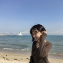 개미집 원조 이미지