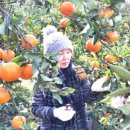 울안농장 이미지