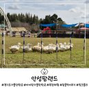 안성목장 2농장 이미지