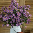 빛이 날개 | 식물용조명 추천과 실제 사용 후기 – 쑤우기 날개식물등