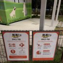 멍멍스타 이미지