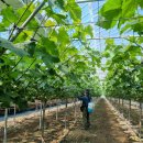 화남1차 이미지