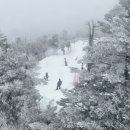 대박식당 | [용평] 모나용평 대박식당 후기 : 용평 한우 맛집 대박식당