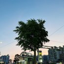 으뜸50안경 개금역점 네이버블로그