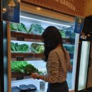 4653 | 잠실 롯데월드몰 한식 맛집, 만석장 롯데월드몰점 방문 후기