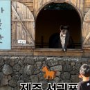 무화목장 이미지