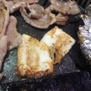 명량돼지 이미지