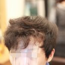 더 하우스 헤어