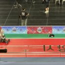 투애니투 이미지